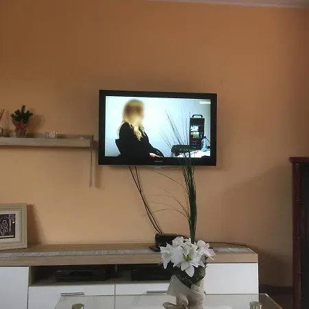Aranyalma Panzio Pensión *